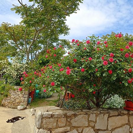 Apartamento App Bonic Veli Lošinj Exterior foto