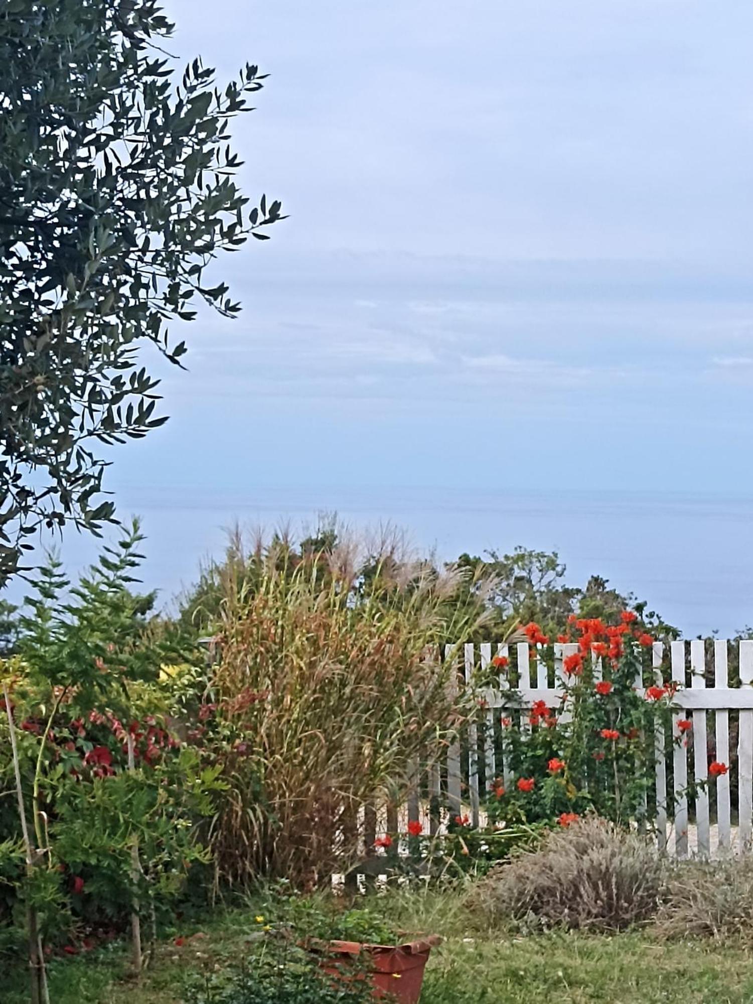 Apartamento App Bonic Veli Lošinj Exterior foto