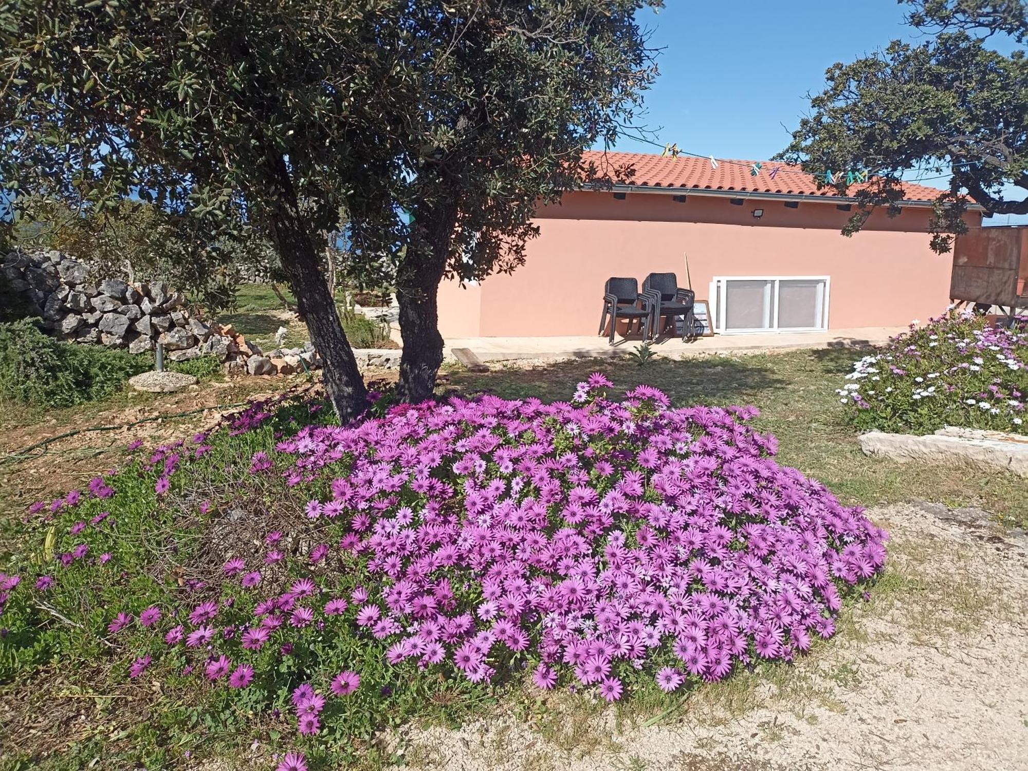 Apartamento App Bonic Veli Lošinj Exterior foto